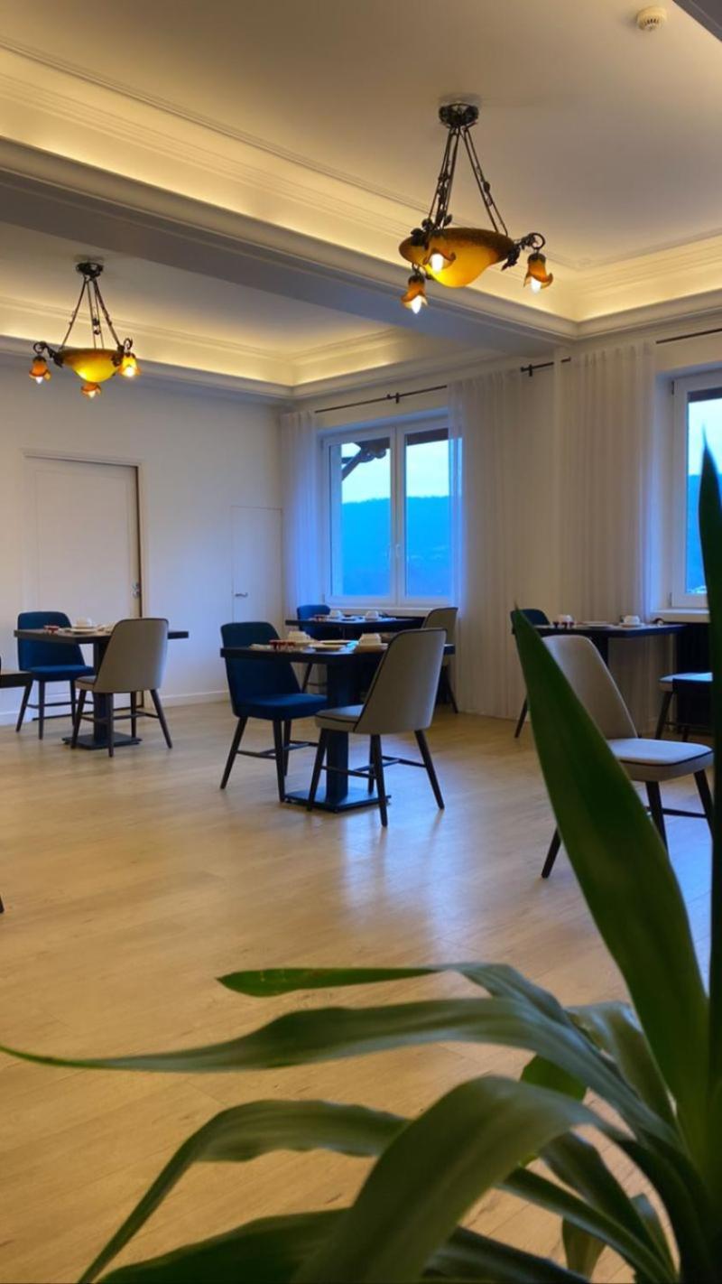 Hotel Le Bellevue Les Roches-de-Condrieu Εξωτερικό φωτογραφία